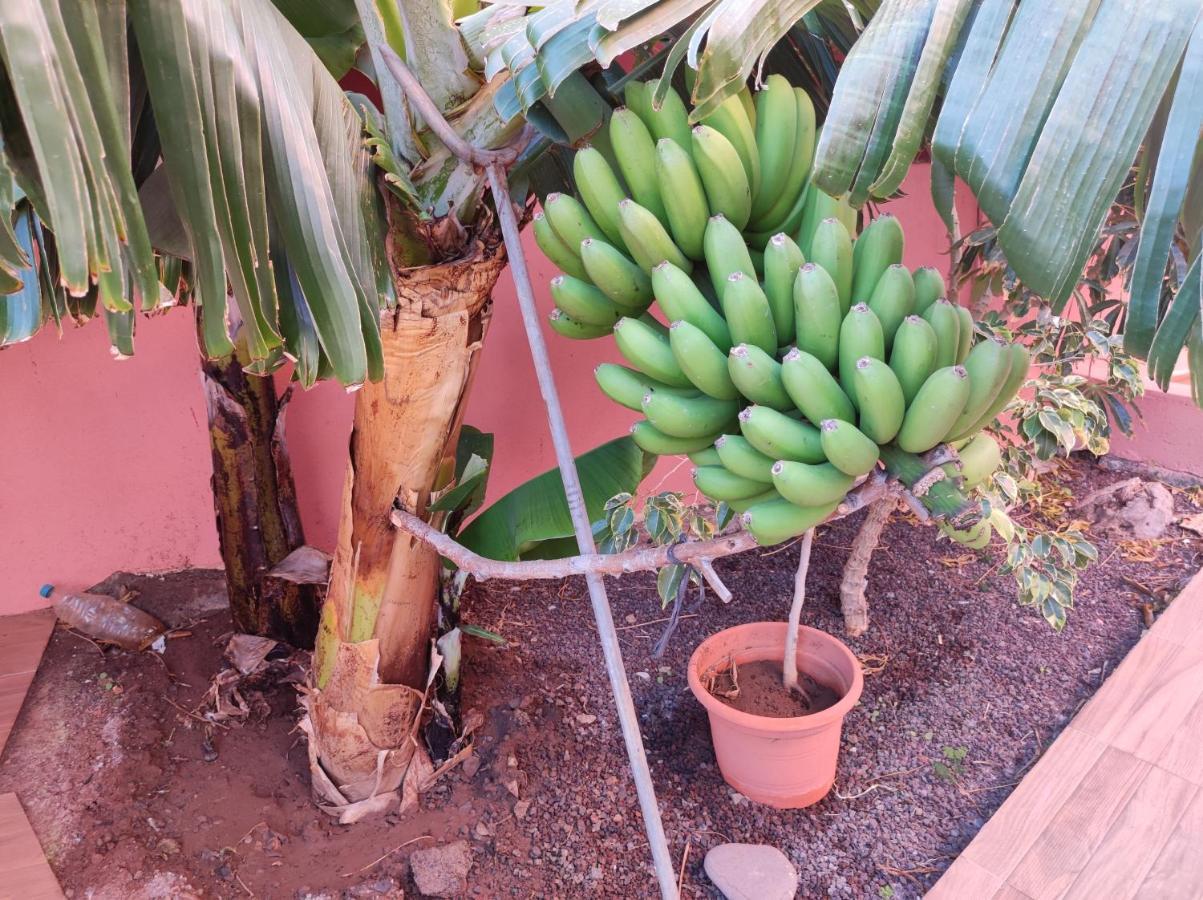 Casita La Gomera San Sebastián de la Gomera Exterior foto